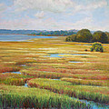 Colors in the Marsh