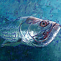 Silver King Tarpon